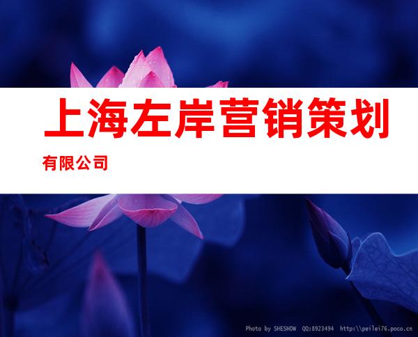 上海左岸营销策划有限公司