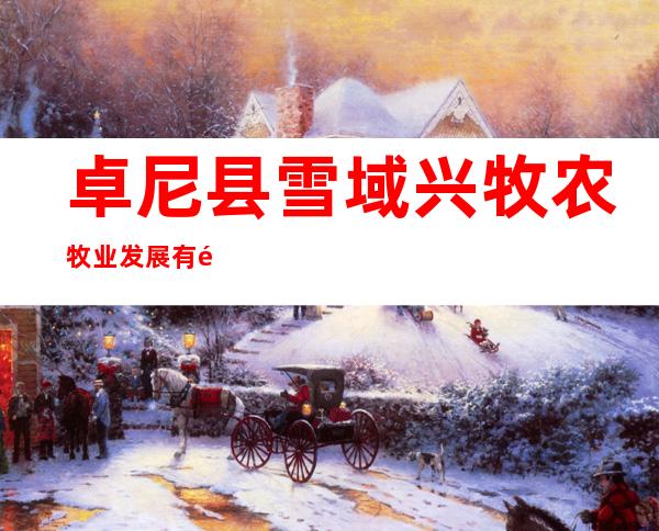 卓尼县雪域兴牧农牧业发展有限责任公司