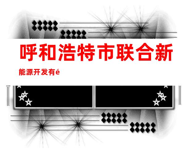呼和浩特市联合新能源开发有限公司
