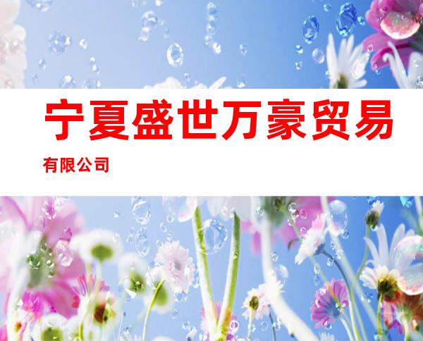 宁夏盛世万豪贸易有限公司