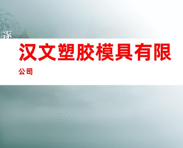 汉文塑胶模具有限公司