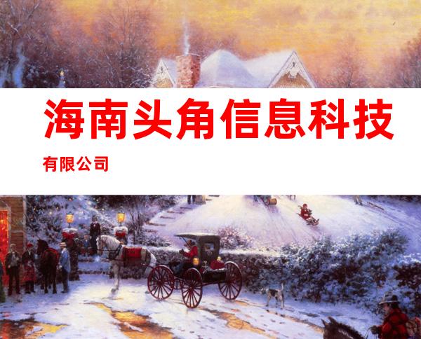 海南头角信息科技有限公司