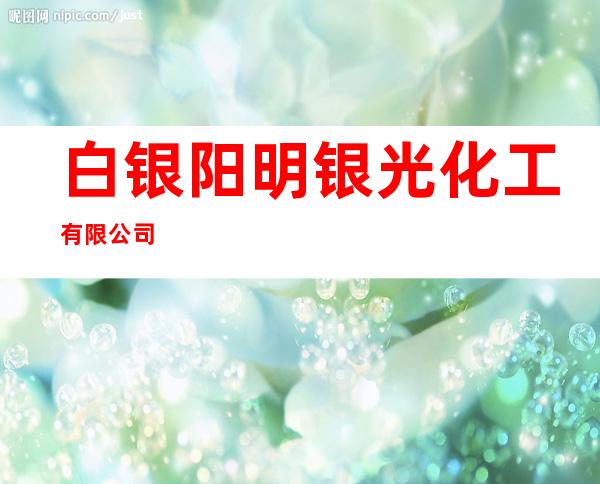 白银阳明银光化工有限公司