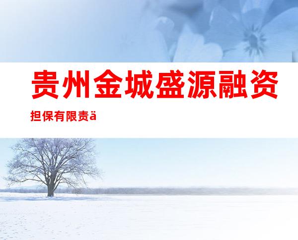 贵州金城盛源融资担保有限责任公司
